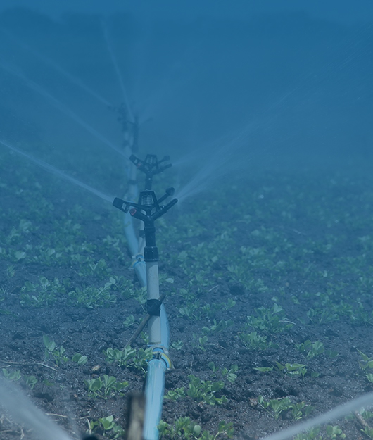 2026土壤快速檢測儀十大TOP廠家選型指南云唐品牌高精度高穩(wěn)定設(shè)備廠家實力推薦